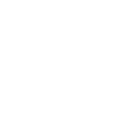 Aperol heritage seal in white.